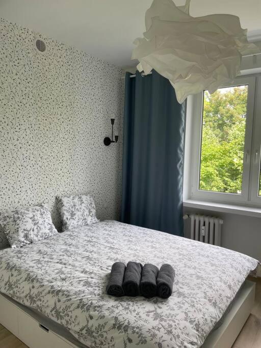 Apartament Kattowitz Sokolska Extérieur photo